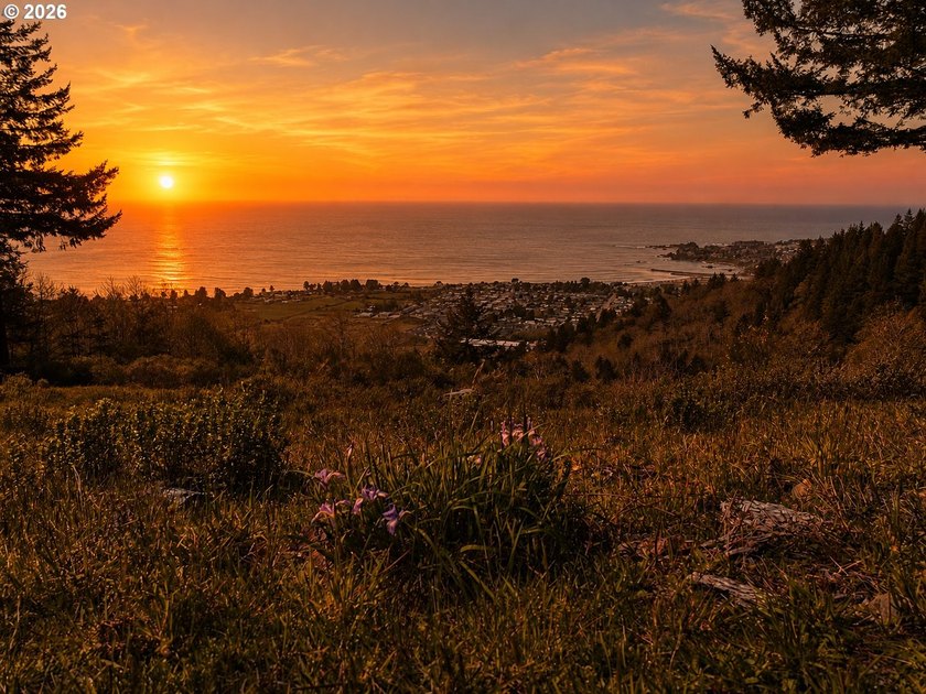 Spectacular Oceanview Acreage - No CC&amp;Rs or HOA! Nestled along a - photo 7