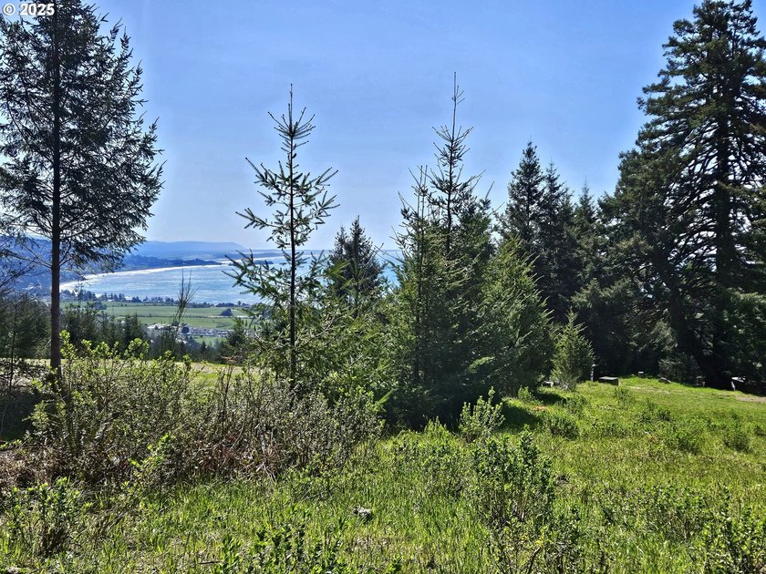 Spectacular Oceanview Acreage - No CC&amp;Rs or HOA! Nestled along a - photo 8