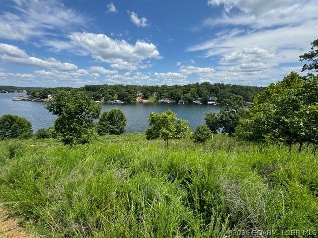 Exceptional development opportunity at Lake of the Ozarks! This - photo 29