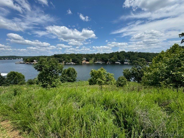 Exceptional development opportunity at Lake of the Ozarks! This - photo 30