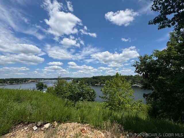Exceptional development opportunity at Lake of the Ozarks! This - photo 33