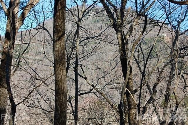 LOCATION &amp; MOUNTAIN VIEWS! GREAT UP-CLOSE VIEWS of YOUNG's - photo 7