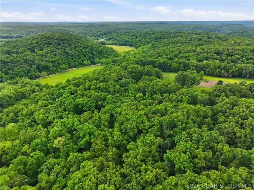 Experience the best of country living at the Lake of the Ozarks - photo 42