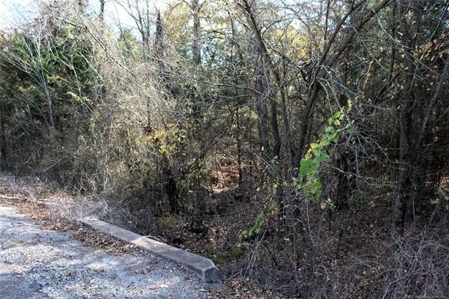 4.6 Acres Near the Red River - Build Your Dream Home or Hunting - photo 11
