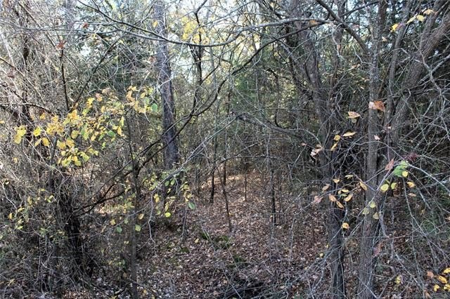 4.6 Acres Near the Red River - Build Your Dream Home or Hunting - photo 13