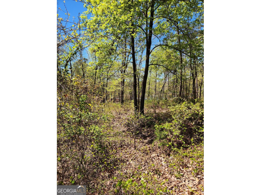 Gentle sloped lakefront lot just waiting for your floor plan - photo 2