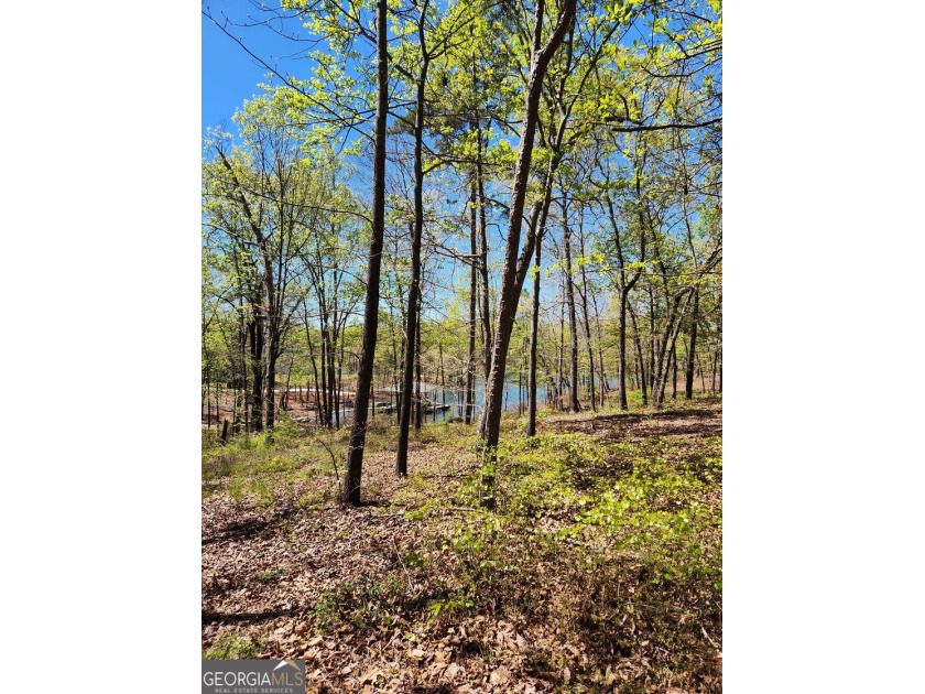 Gentle sloped lakefront lot just waiting for your floor plan - photo 3