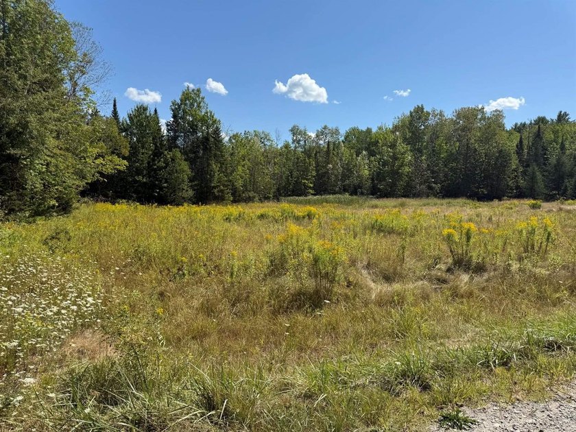 Price Improvement!! 3.37 acres of land being sold as is. Septic - photo 3