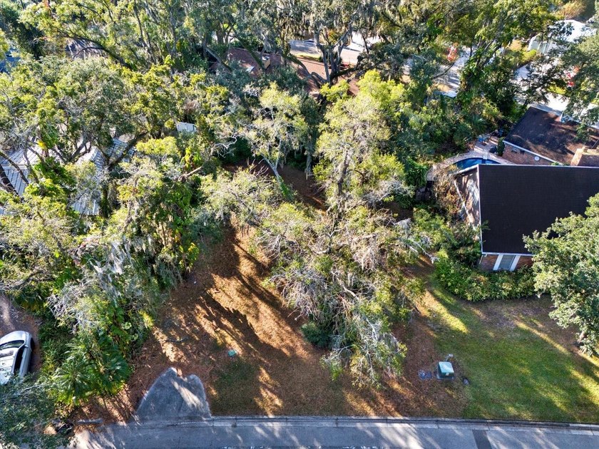 Prime Vacant Building Lot in Temple Terrace - 1113 Riverhills - photo 3
