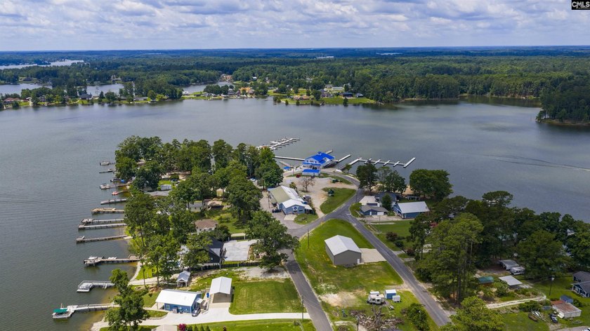 LAKE MURRAY LIVING WITHOUT THE LAKEFRONT PRICE! Welcome to this - photo 33