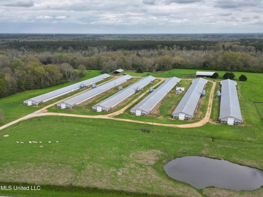 This 6-house poultry broiler farm, situated just north of - photo 15