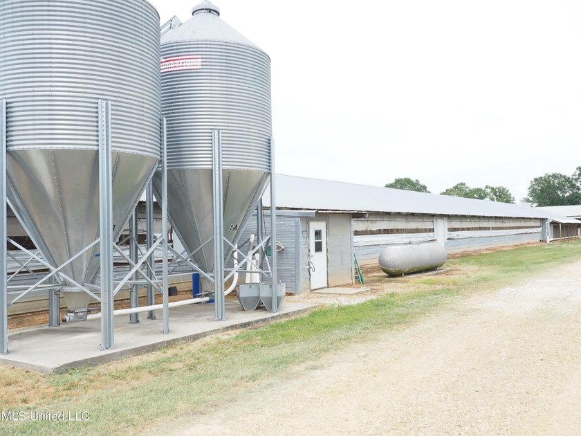 This 6-house poultry broiler farm, situated just north of - photo 18