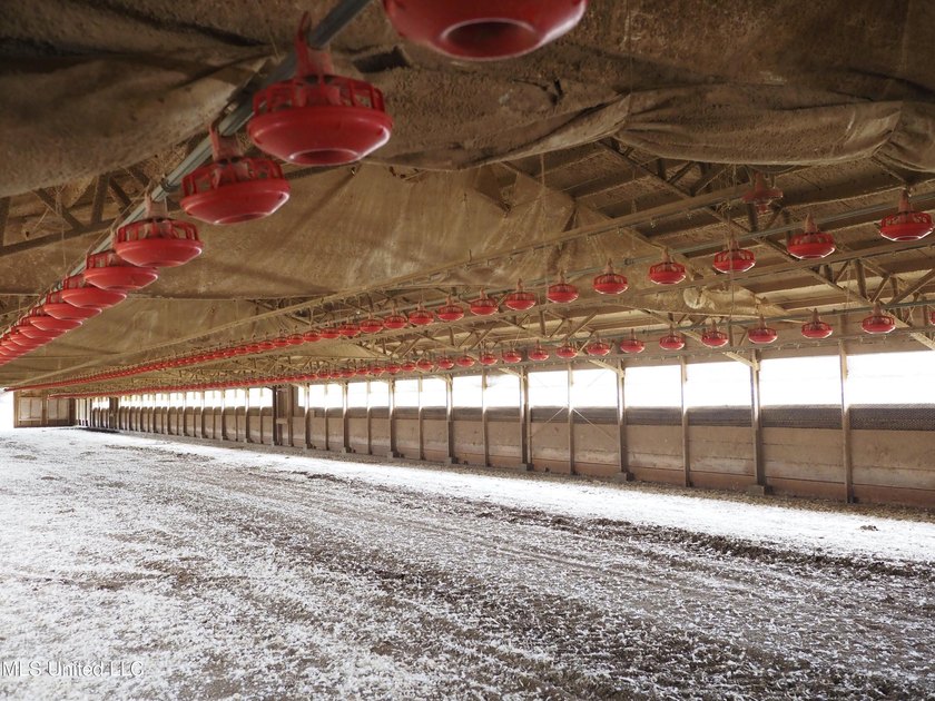 This 6-house poultry broiler farm, situated just north of - photo 22