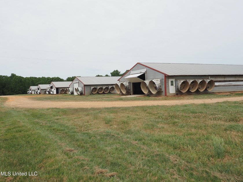 This 6-house poultry broiler farm, situated just north of - photo 24