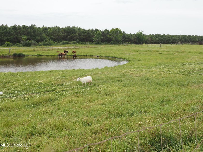 This 6-house poultry broiler farm, situated just north of - photo 25