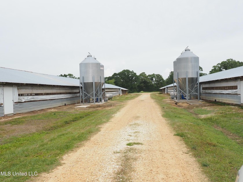 This 6-house poultry broiler farm, situated just north of - photo 27