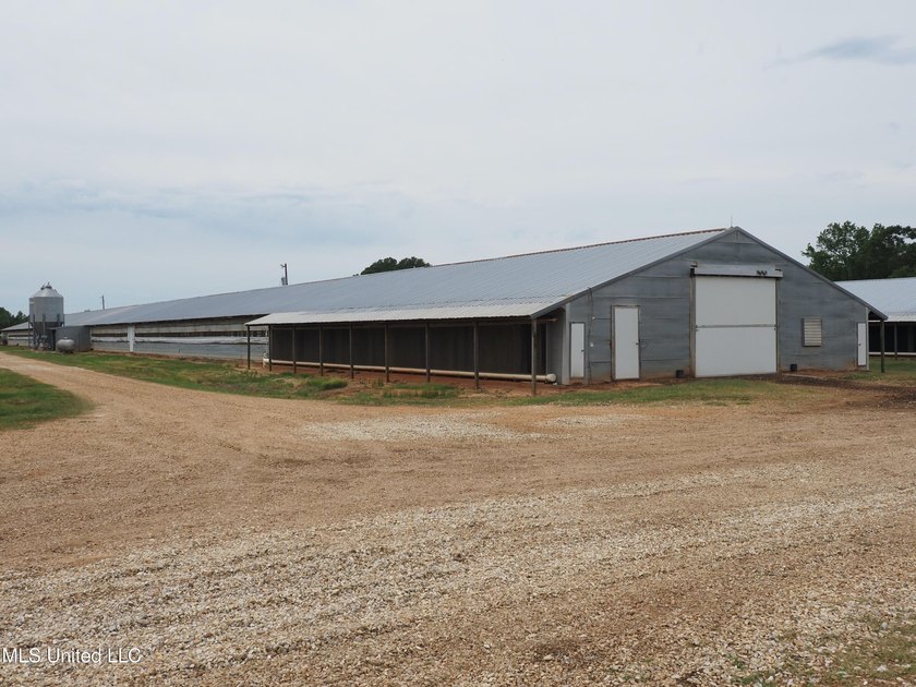 This 6-house poultry broiler farm, situated just north of - photo 29