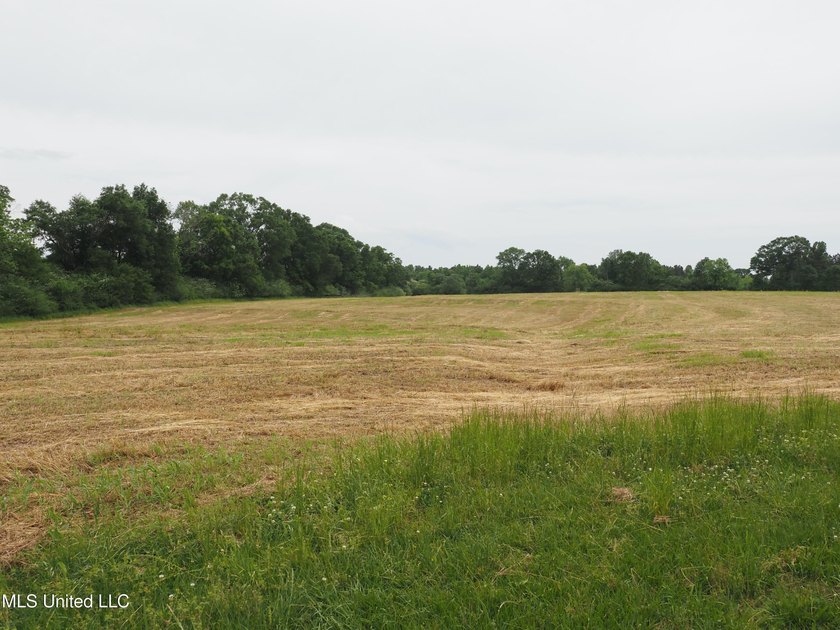 This 6-house poultry broiler farm, situated just north of - photo 36