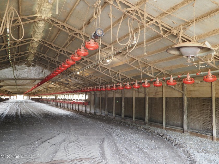 This 6-house poultry broiler farm, situated just north of - photo 41