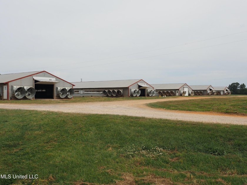 This 6-house poultry broiler farm, situated just north of - photo 44