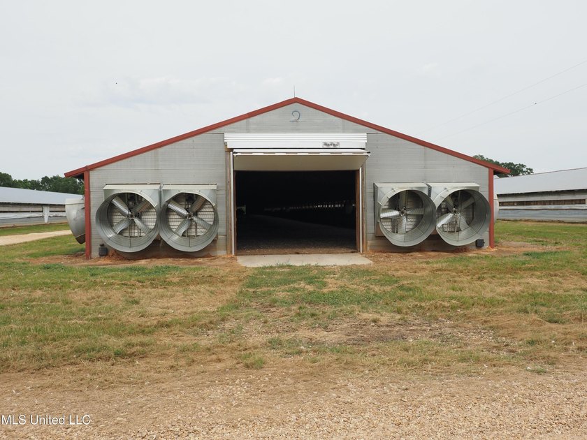 This 6-house poultry broiler farm, situated just north of - photo 45