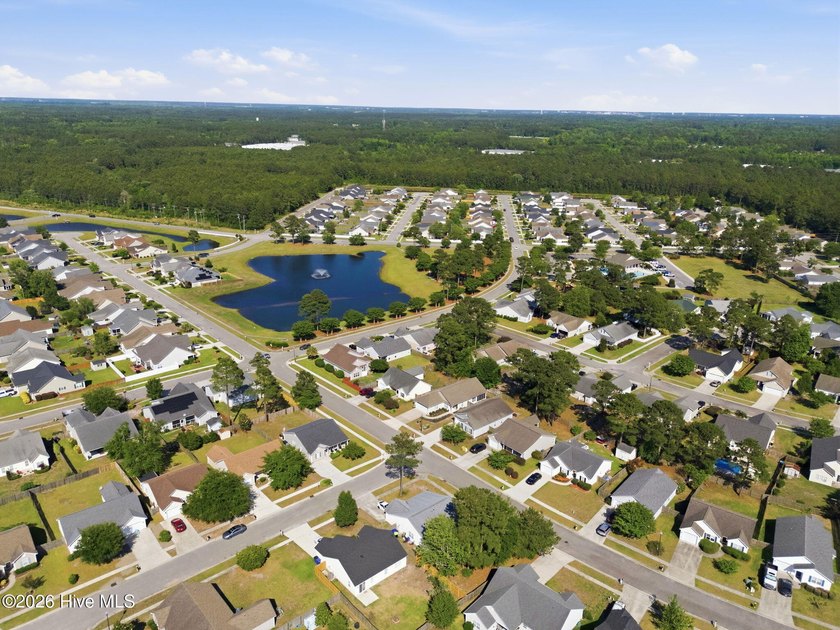 Run Don't Walk! This RARE find &amp; highly desirable subdivision - photo 46
