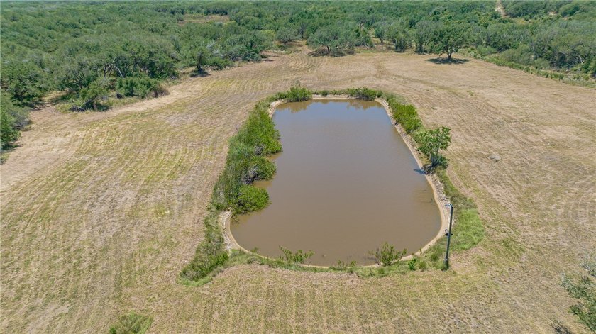 So much potential for this 14.7 acres! Property extends from - photo 4