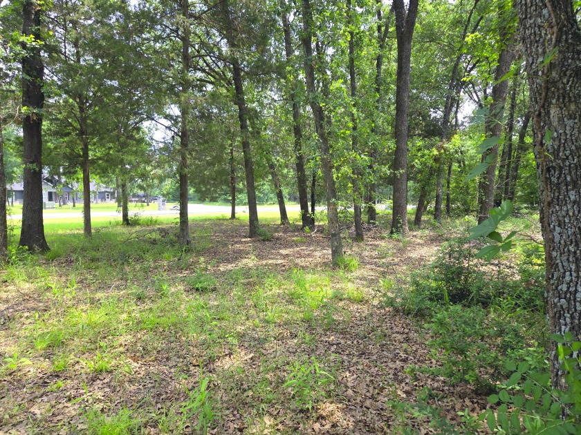 Lot 442 Waters Edge Dr - photo 12