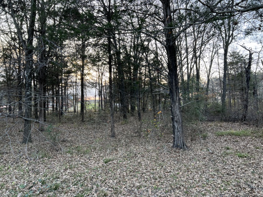 Lot 442 Waters Edge Dr - photo 11
