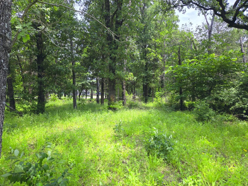 Lot 442 Waters Edge Dr - photo 35