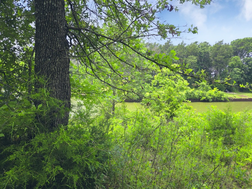 Lot 442 Waters Edge Dr - photo 38