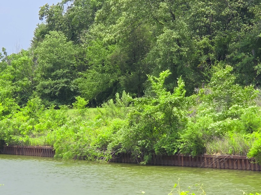 Lot 442 Waters Edge Dr - photo 31