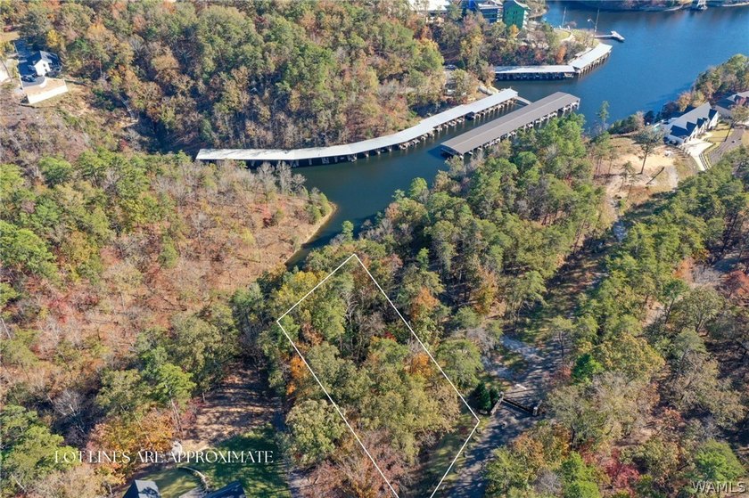 Discover the opportunity to own 1.61 +/- acres of lakefront - photo 2
