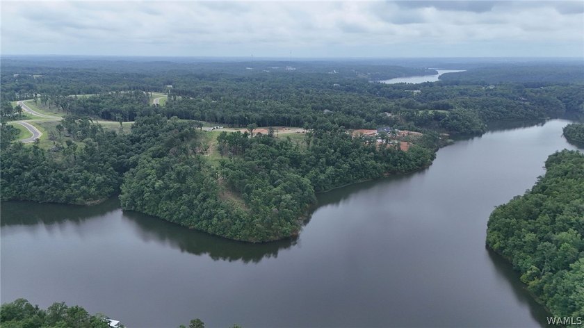 Introducing Emeralds Edge-Tuscaloosa's newest premier lakefront - photo 10