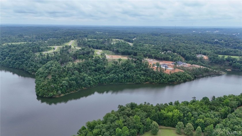 Introducing Emeralds Edge-Tuscaloosa's newest premier lakefront - photo 9