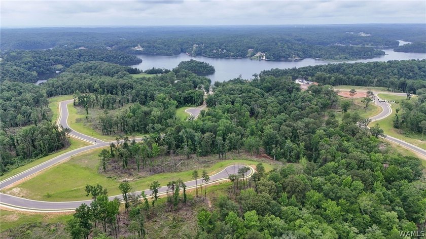 Introducing Emeralds Edge-Tuscaloosa's newest premier lakefront - photo 6