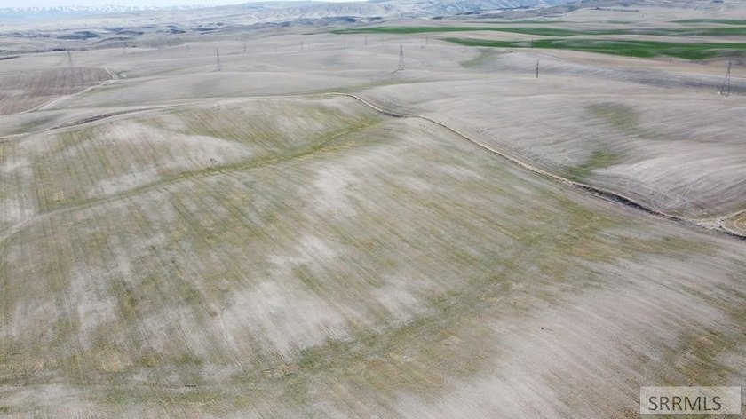 62 acres perfect for a rural development! Many different - photo 9