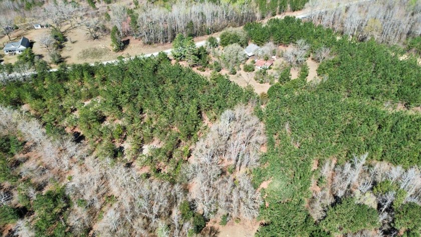 Explore the possibilities with this beautiful 77-acre tract in - photo 3