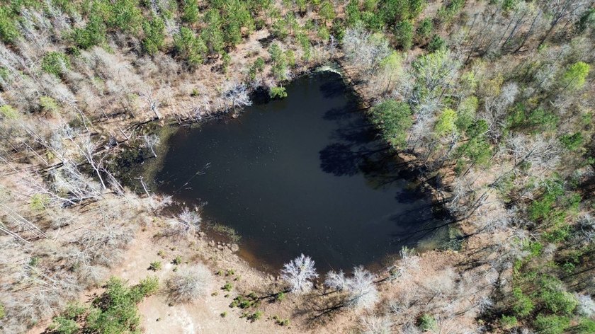 Explore the possibilities with this beautiful 77-acre tract in - photo 4