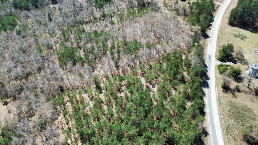 Explore the possibilities with this beautiful 77-acre tract in - photo 8