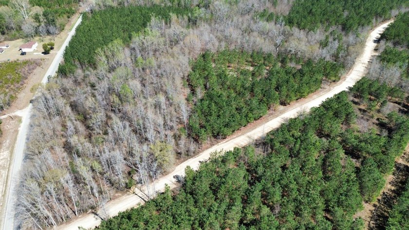 Explore the possibilities with this beautiful 77-acre tract in - photo 9