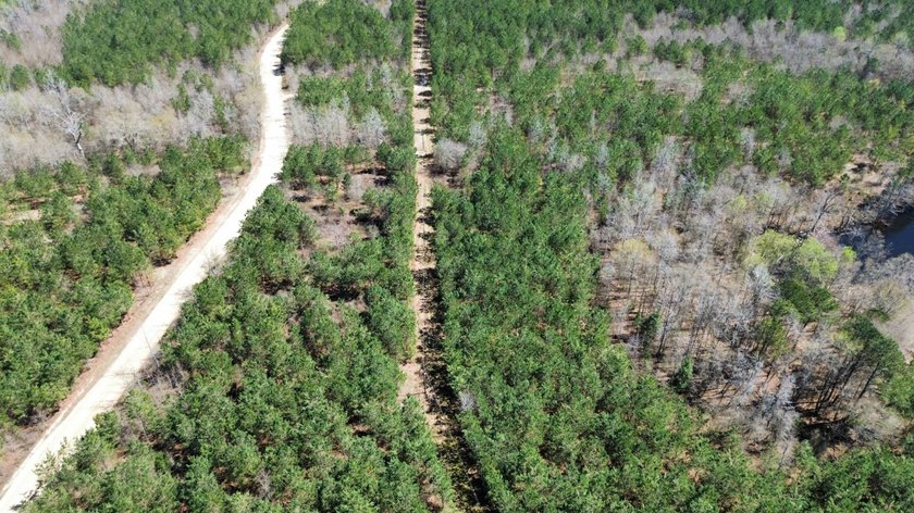 Explore the possibilities with this beautiful 77-acre tract in - photo 10