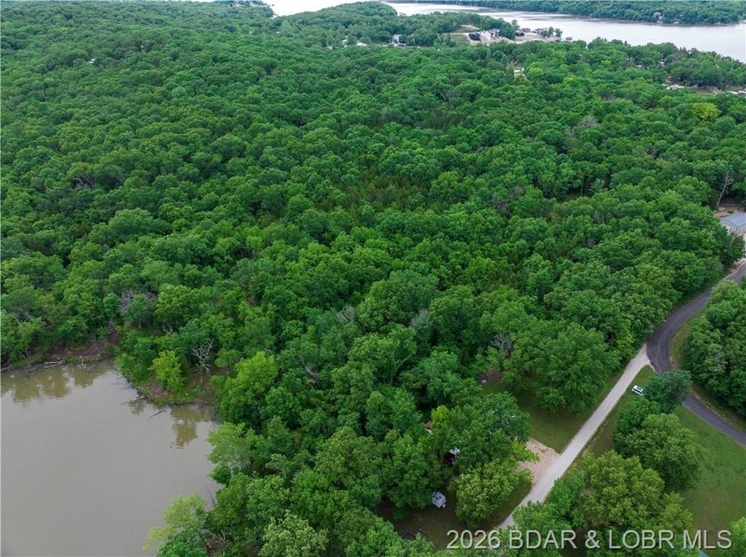 Large Lake Front Lot with 230 ft of Lake Front and 1.3 Acres - photo 12