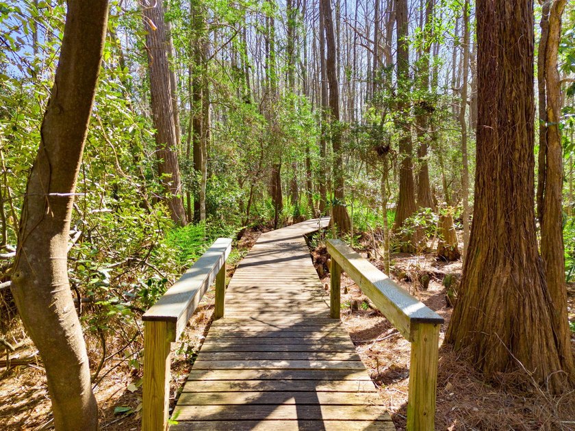 Incredible value in Seagrove with proven rental history and $34K - photo 41