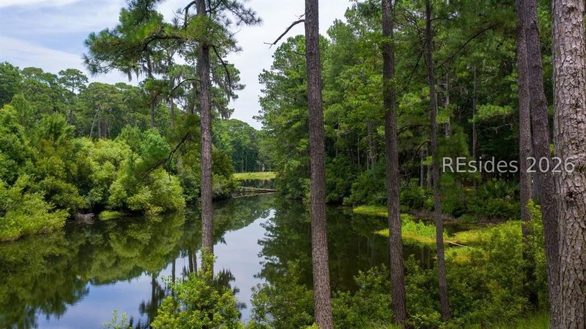 Experience the best of Lowcountry living in this exceptional - photo 47