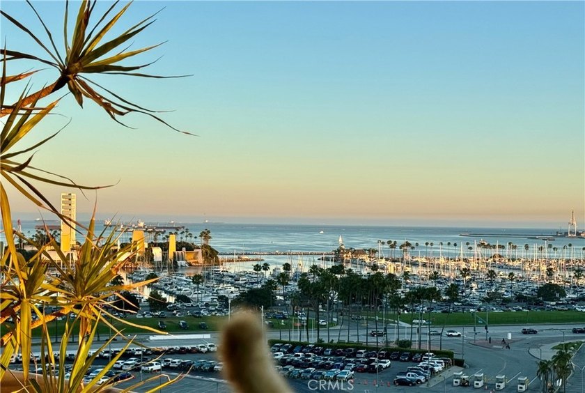 This fantastic ninth floor unit with an amazing view of the - photo 2