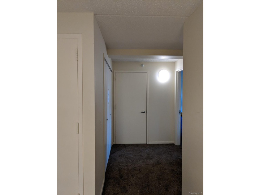 The cheapest modern (2007 building) 3BR 2BA condo over 1200sqft - photo 6