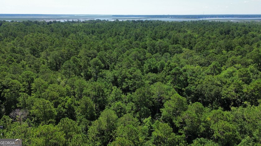 Build your dream home on this beautiful 1.9 acre unimproved lot - photo 11