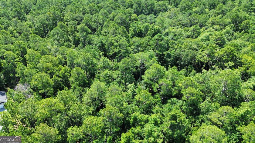 Build your dream home on this beautiful 1.9 acre unimproved lot - photo 13
