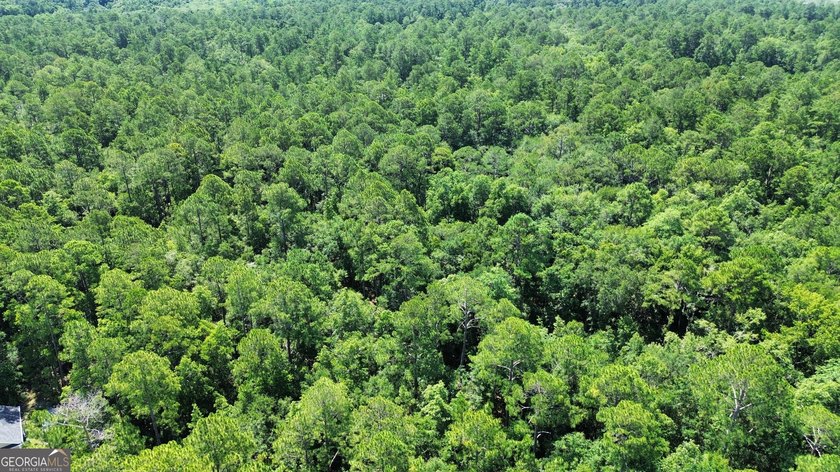 Build your dream home on this beautiful 1.9 acre unimproved lot - photo 17
